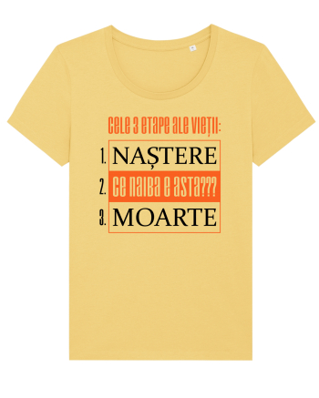 Cele 3 etape ale vietii Jojoba