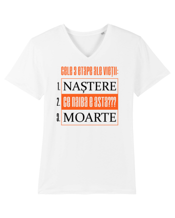 Cele 3 etape ale vietii White