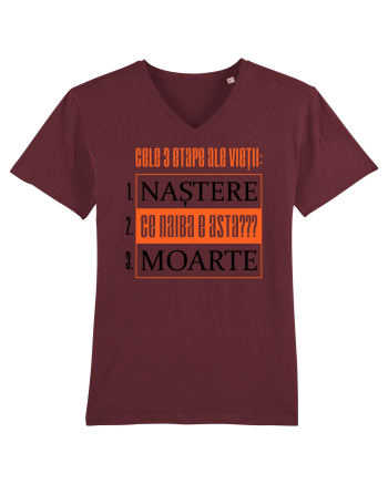 Cele 3 etape ale vietii Burgundy