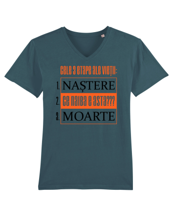 Cele 3 etape ale vietii Stargazer