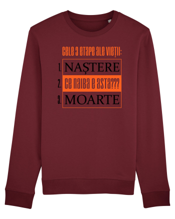 Cele 3 etape ale vietii Burgundy