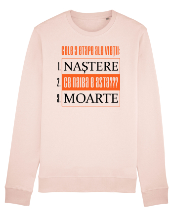 Cele 3 etape ale vietii Candy Pink