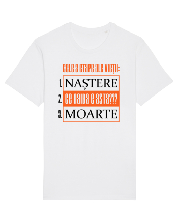 Cele 3 etape ale vietii White