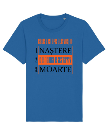 Cele 3 etape ale vietii Royal Blue