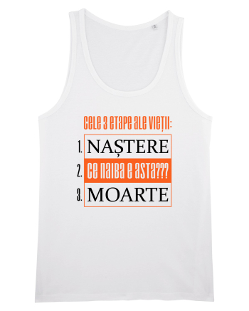 Cele 3 etape ale vietii White