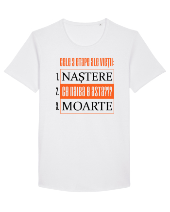 Cele 3 etape ale vietii White