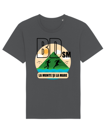 BDsm la munte si la mare Anthracite