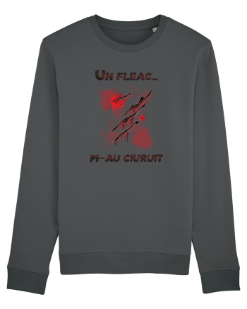 cu desene de Halloween - Un fleac m-au ciuruit Anthracite