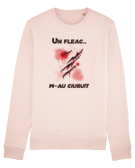cu desene de Halloween - Un fleac m-au ciuruit Bluză mânecă lungă Unisex Rise