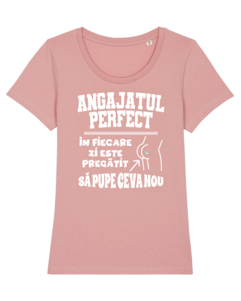 Angajatul Perfect Canyon Pink