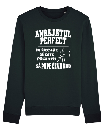 Angajatul Perfect Black