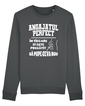 Angajatul Perfect Anthracite