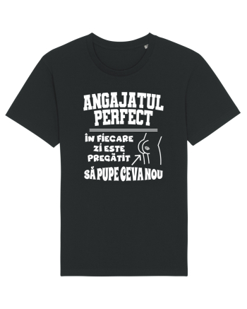 Angajatul Perfect Black