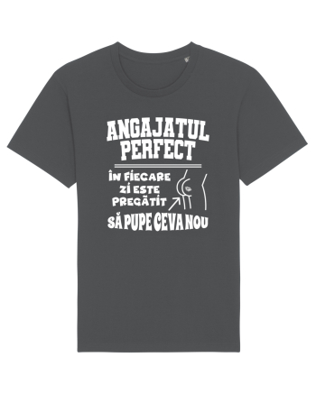 Angajatul Perfect Anthracite
