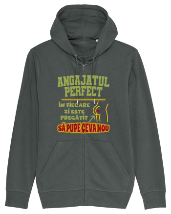 Angajatul Perfect Anthracite