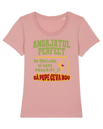 Angajatul Perfect Canyon Pink