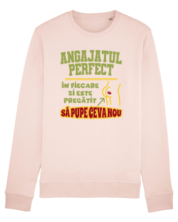 Angajatul Perfect Candy Pink