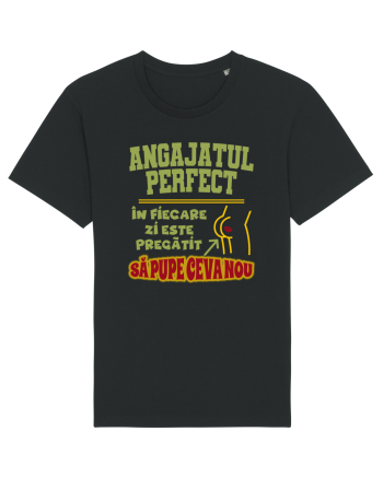 Angajatul Perfect Black