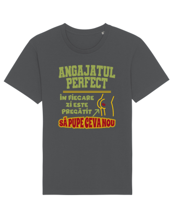 Angajatul Perfect Anthracite