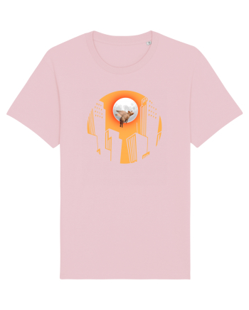 Zboară, porcule Cotton Pink