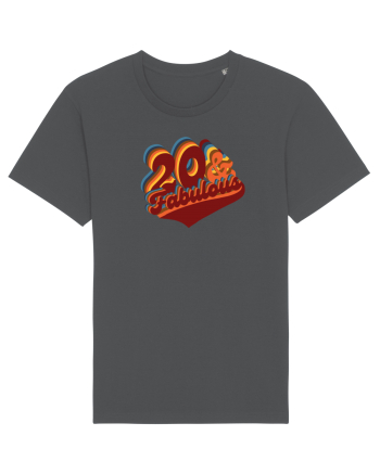 Zi De Nastere.20 De Ani  Anthracite