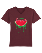 Sweet Summer Pepene Tricou mânecă scurtă guler V Bărbat Presenter