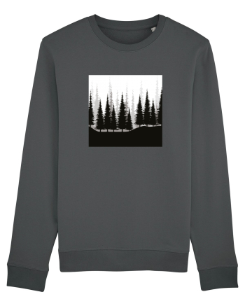 Forest Anthracite