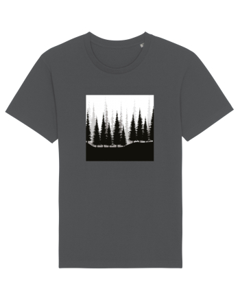 Forest Anthracite