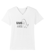 Rawr Is Hello In Dinosaur Tricou mânecă scurtă guler V Bărbat Presenter