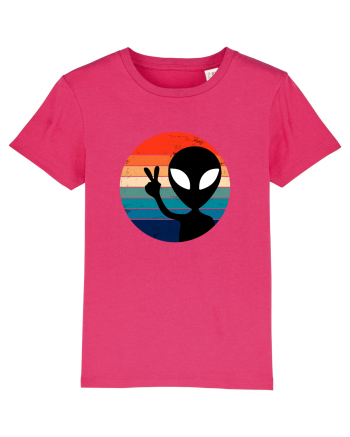 Retro Alien Raspberry