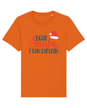Dear Santa I can Explain Bright Orange