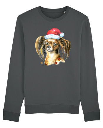 Cute Dog Santa Hat Anthracite