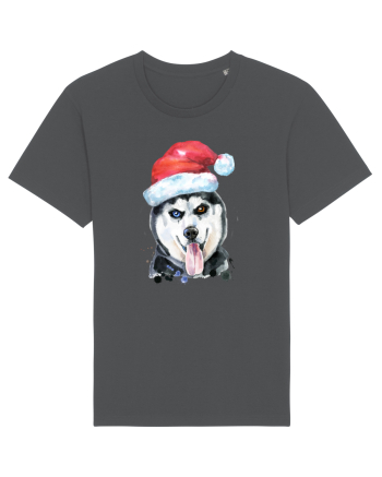 Husky Santa Hat Anthracite