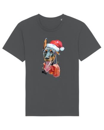 Doberman Santa Hat Anthracite