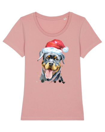 Rottweiler Santa Hat Canyon Pink