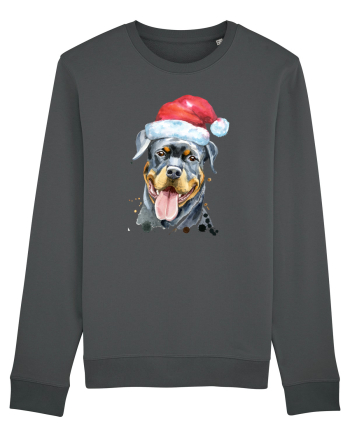 Rottweiler Santa Hat Anthracite