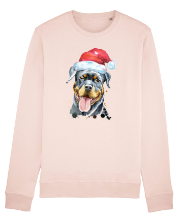 Rottweiler Santa Hat Candy Pink