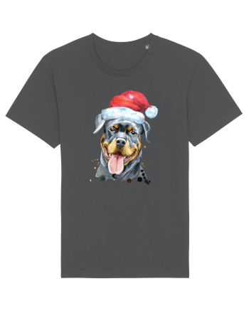 Rottweiler Santa Hat Anthracite