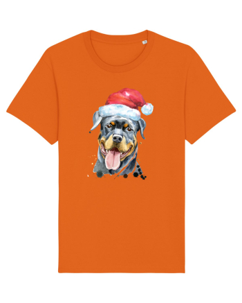 Rottweiler Santa Hat Bright Orange