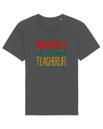 Santas Spy Teacher Anthracite