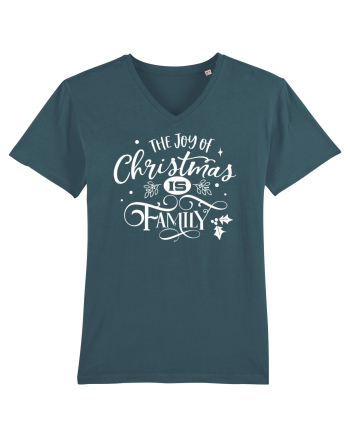 The Joy of Christmas White Stargazer