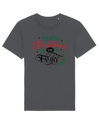 The Joy of Christmas is Family Anthracite