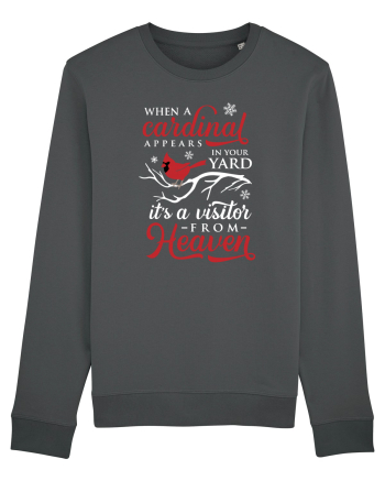Cardinal Heaven Xmas Anthracite