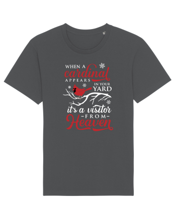 Cardinal Heaven Xmas Anthracite