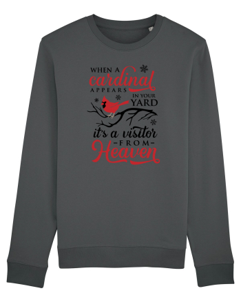 Cardinal Full Xmas Anthracite