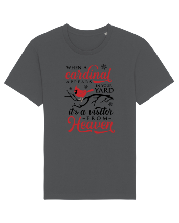 Cardinal Full Xmas Anthracite