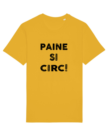 Paine si Circ Spectra Yellow