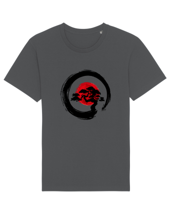  Bonzai   Anthracite