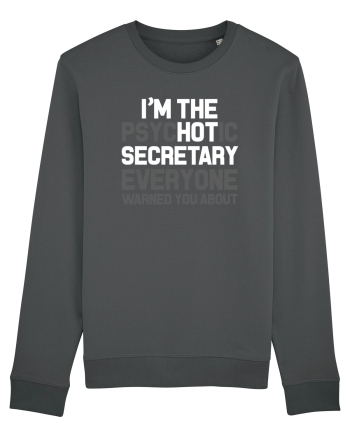 SECRETARY Anthracite