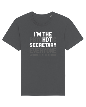 SECRETARY Anthracite